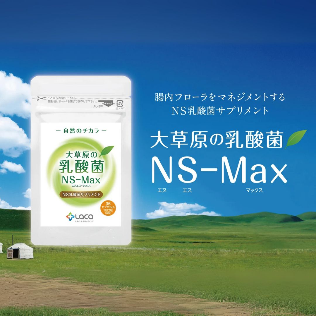 大草原の乳酸菌NS-Max(36粒)