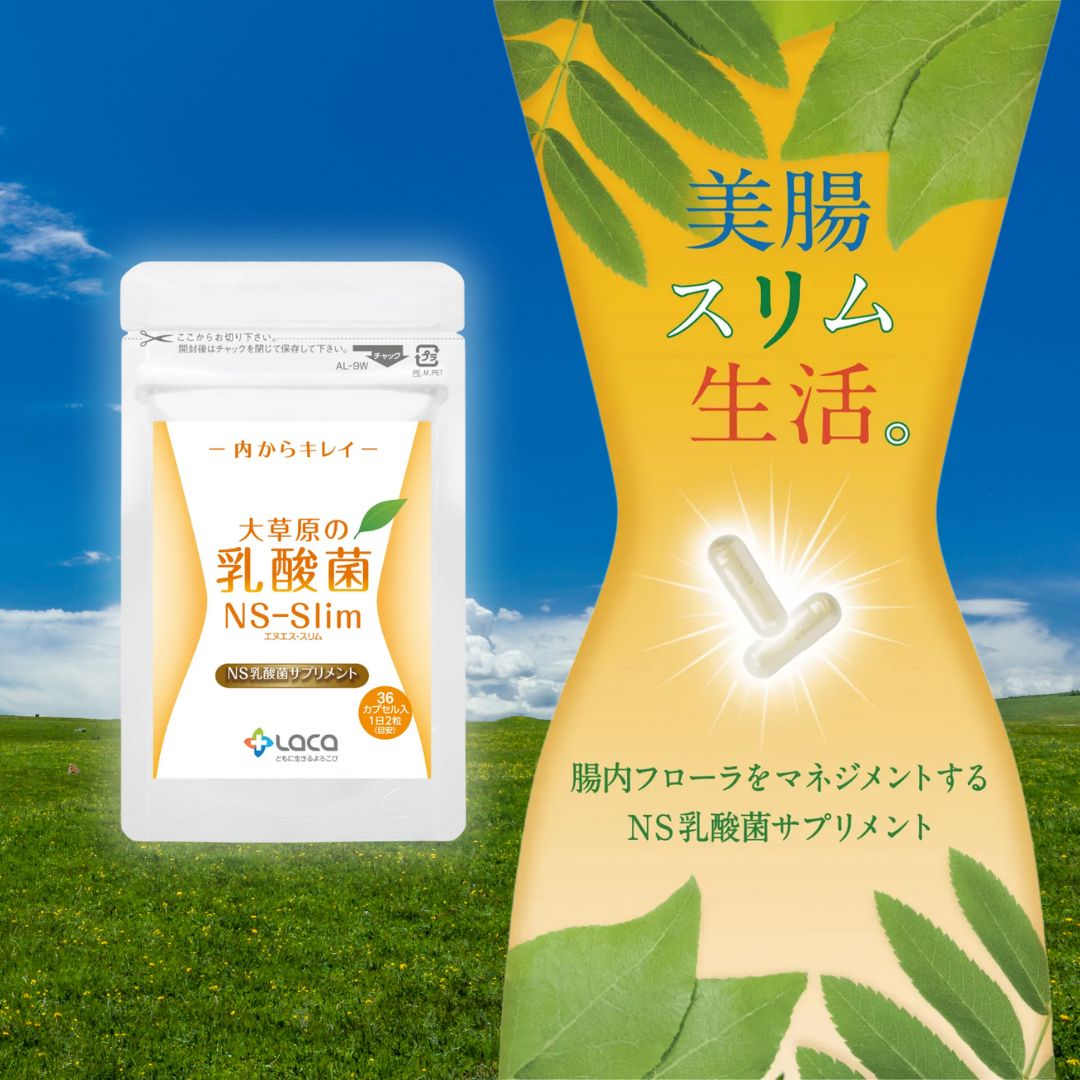 大草原の乳酸菌NS-Slim(36粒)
