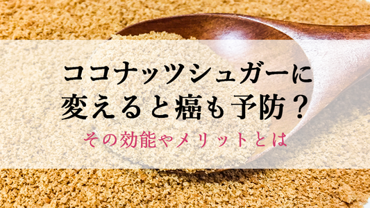 ココナッツシュガーに変えると癌も予防？その効能やメリットとは