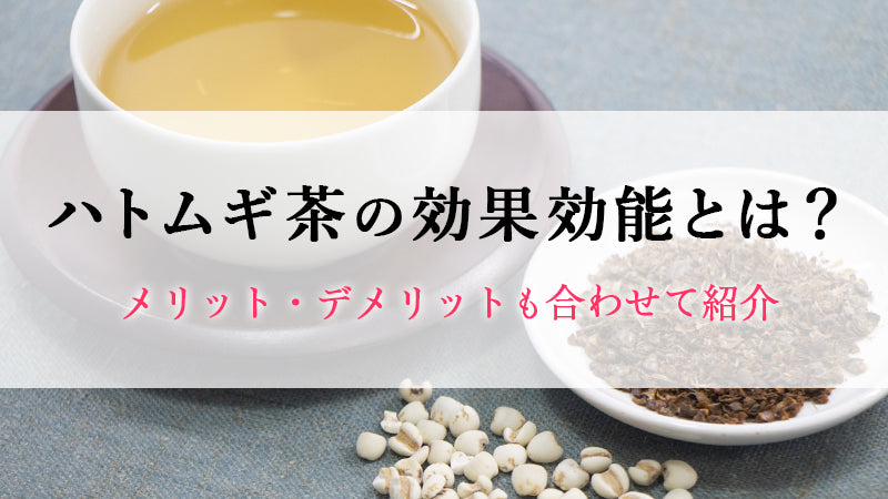 ハトムギ茶の効果効能とは？デメリットも合わせて紹介