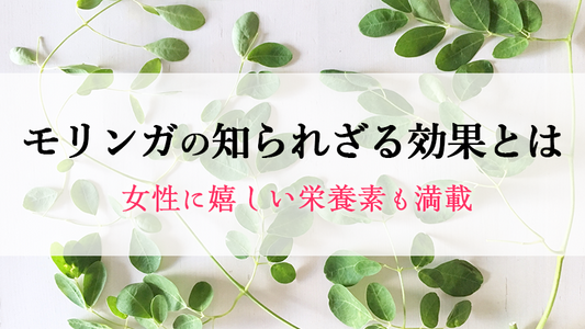 モリンガの知られざる効果とは。女性に嬉しい栄養素も満載