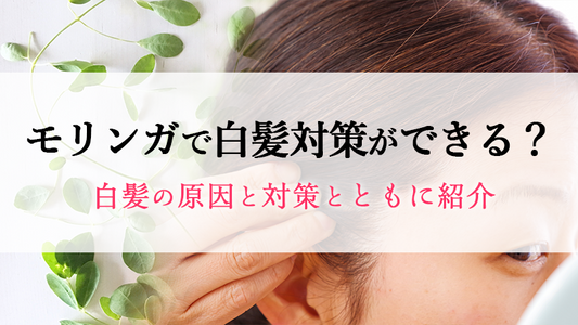 モリンガで白髪対策ができる？白髪の原因と対策とともに紹介