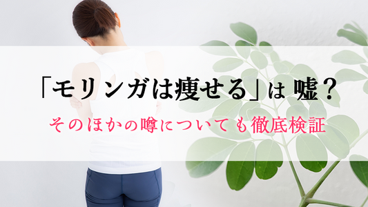 「モリンガは痩せる」 は嘘？そのほかの噂についても徹底検証