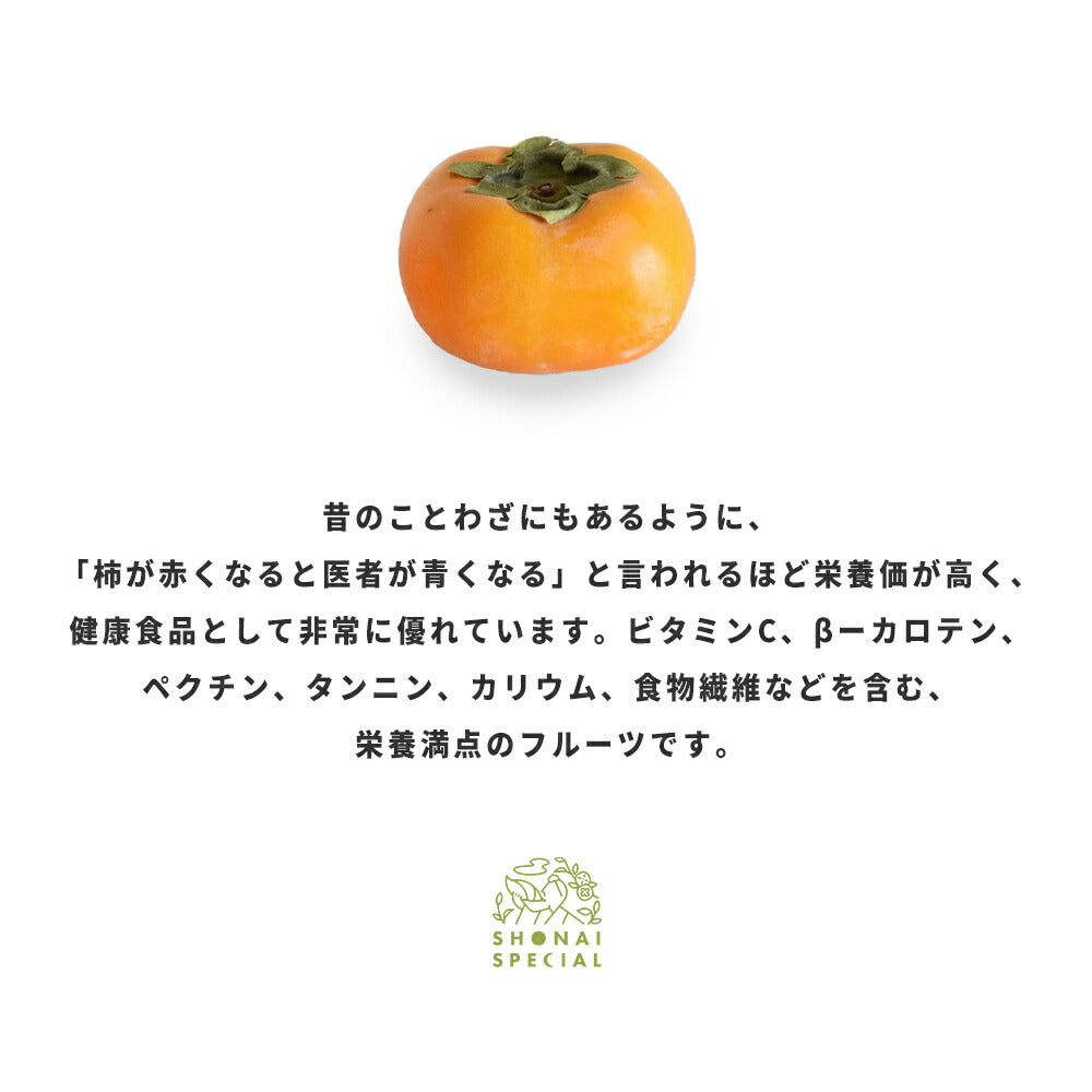 柿ベースエナジーバー