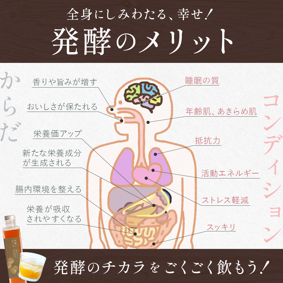 全身にしみわたる、幸せ！発酵のメリット