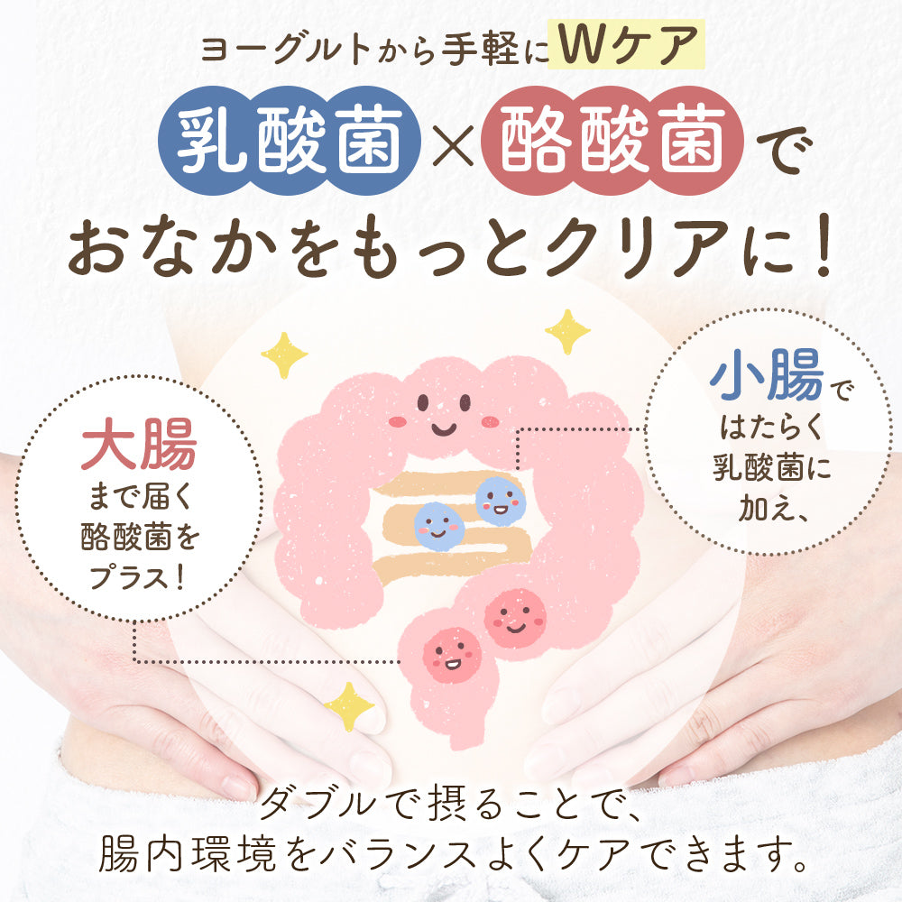 もっちりヨーグルト+酪酸菌【手作りヨーグルトの種菌／繰り返し作れる】3包入／6包入 小腸大腸ダブルケア 常温発酵OK ヨーグルトメーカーOK 植え継ぎ可能  クレモリス菌 カスピ海ヨーグルト