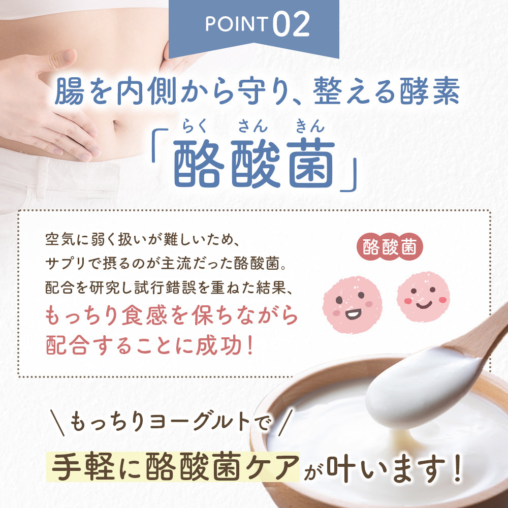 もっちりヨーグルト+酪酸菌【手作りヨーグルトの種菌／繰り返し作れる】3包入／6包入 小腸大腸ダブルケア 常温発酵OK ヨーグルトメーカーOK 植え継ぎ可能  クレモリス菌 カスピ海ヨーグルト