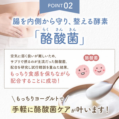 もっちりヨーグルト+酪酸菌【手作りヨーグルトの種菌／繰り返し作れる】3包入／6包入 小腸大腸ダブルケア 常温発酵OK ヨーグルトメーカーOK 植え継ぎ可能  クレモリス菌 カスピ海ヨーグルト