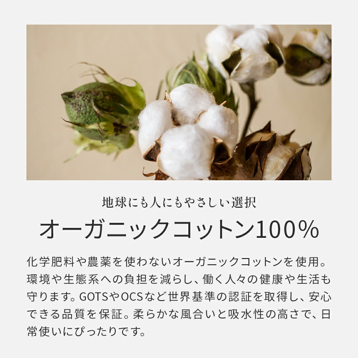 ティータオル Northシリーズ
