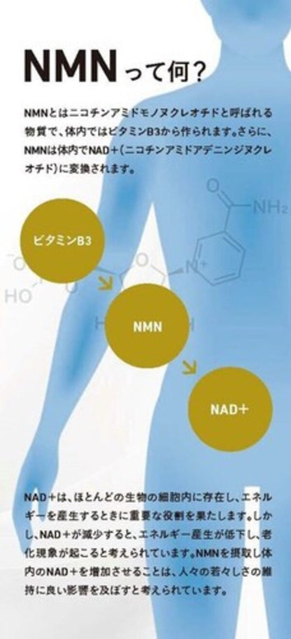 NMNエスコート