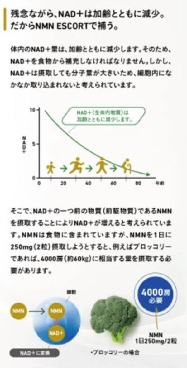 NMNエスコート