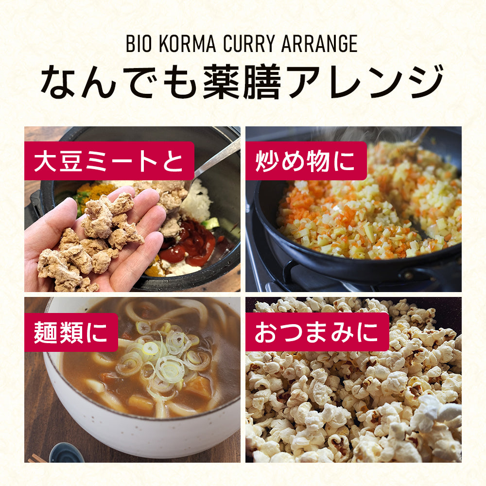 BIO KORMA CURRY（ビオコルマカレー）150g 【VEGAN／小麦粉・添加物不使用／薬膳】