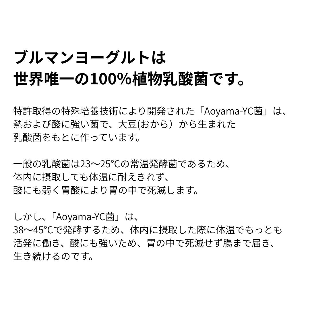 ブルマンヨーグルト 5g×12袋 ウォーマー付き
