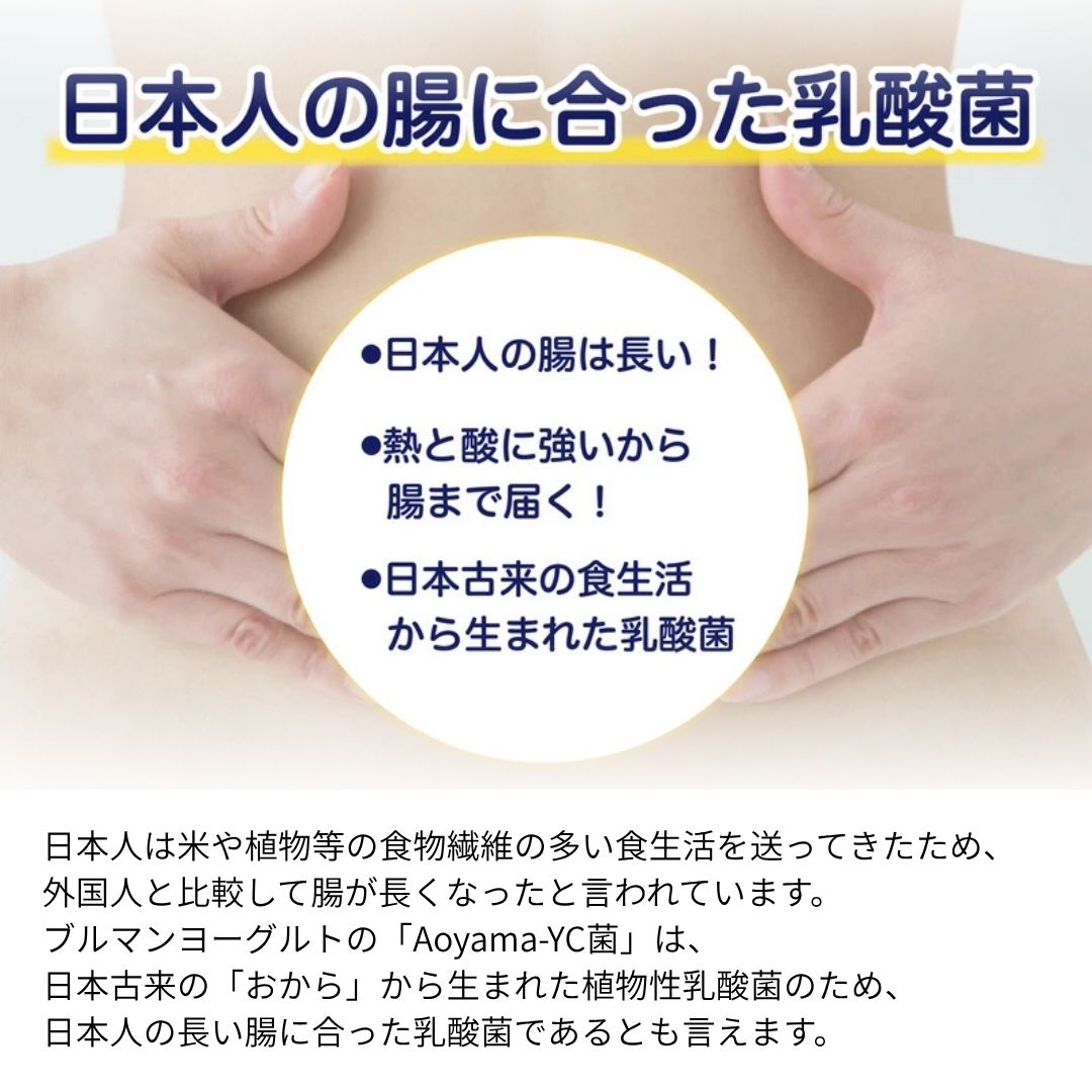 ブルマンヨーグルト 5g×12袋 ウォーマー付き