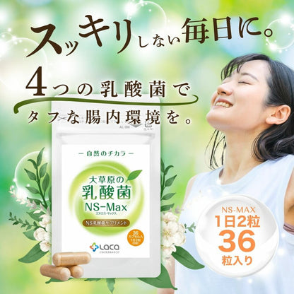 大草原の乳酸菌NS-Max（36粒）