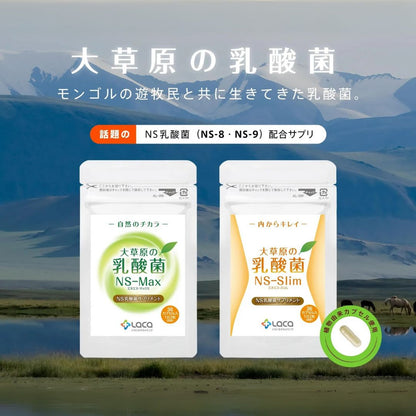 大草原の乳酸菌NS-Max（36粒）