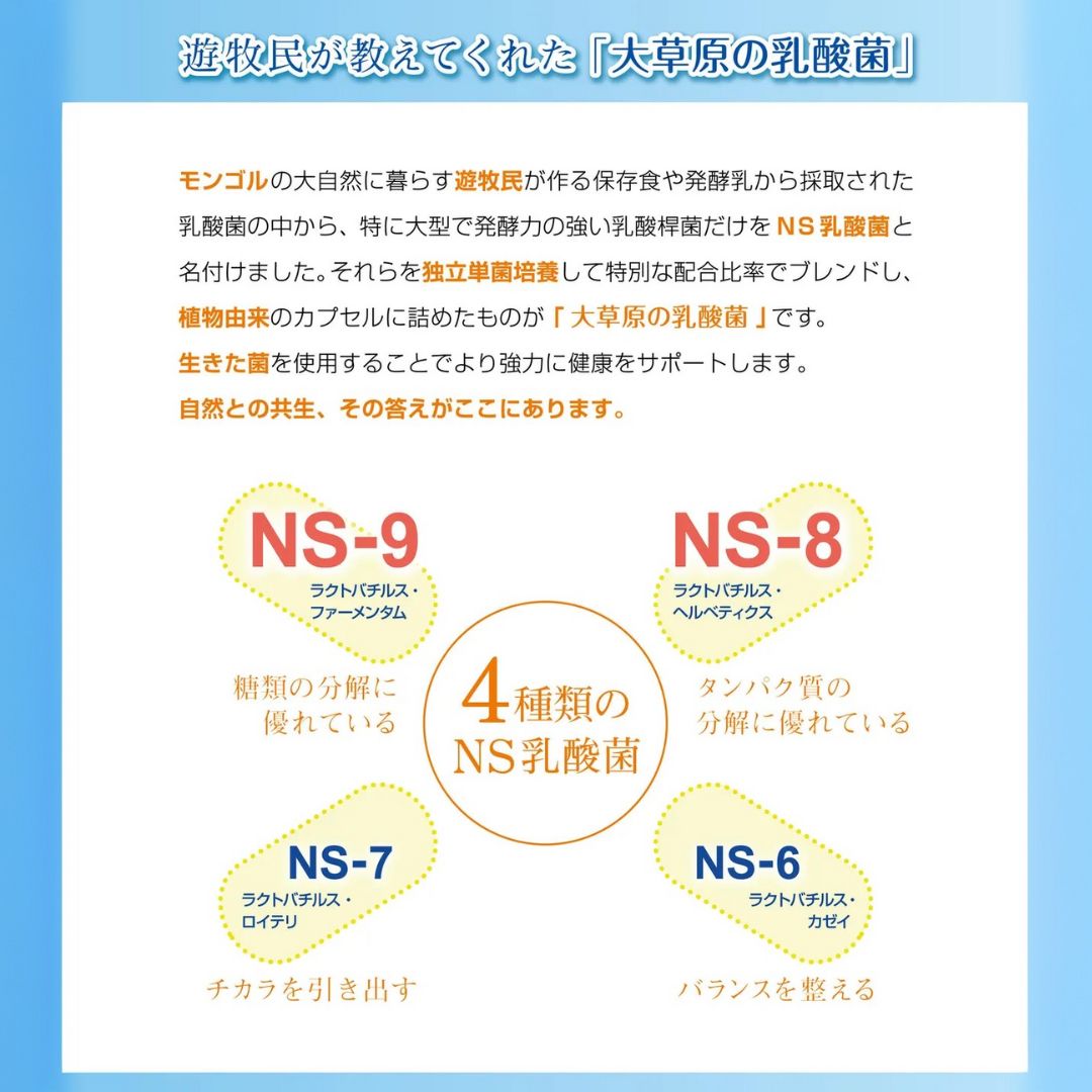 大草原の乳酸菌NS-Max（36粒）