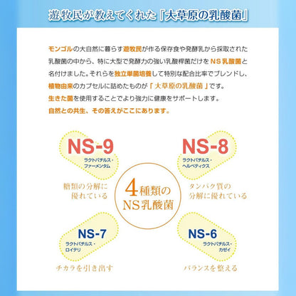 大草原の乳酸菌NS-Max（36粒）