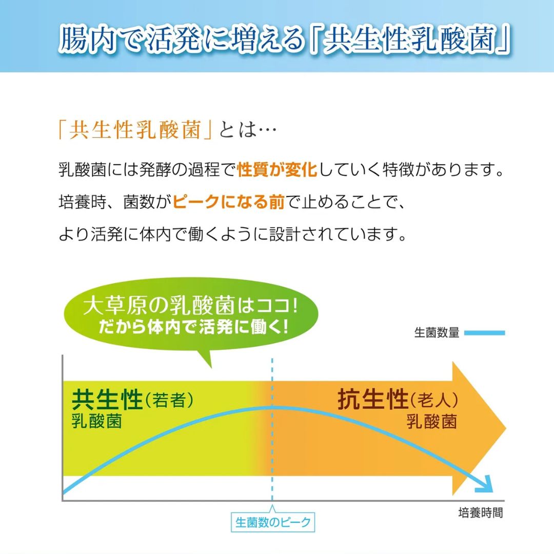 大草原の乳酸菌NS-Max（36粒）