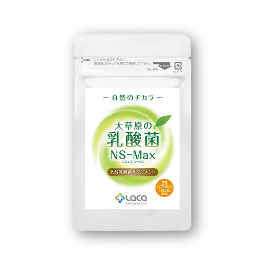 大草原の乳酸菌NS-Max（36粒）
