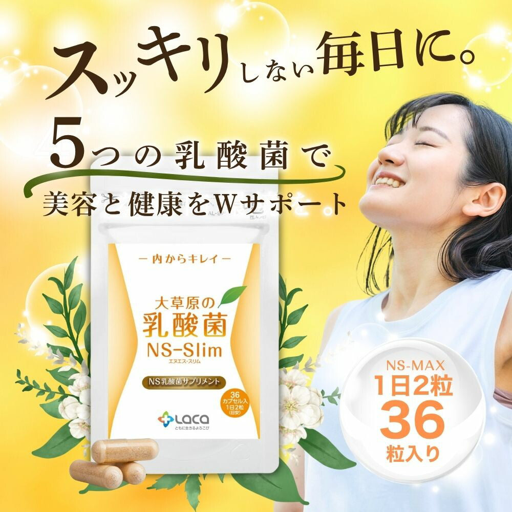 大草原の乳酸菌NS-Slim（36粒）