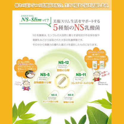 大草原の乳酸菌NS-Slim（36粒）