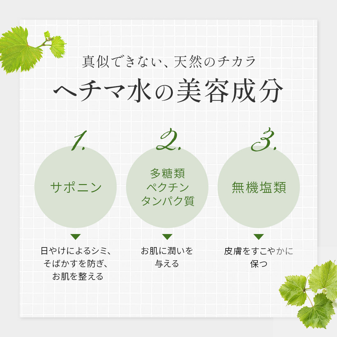 へちまここち 国産へちまローション 120ml【国産へちま水100%／防腐剤・着色料・合成界面活性剤・アルコール不使用】