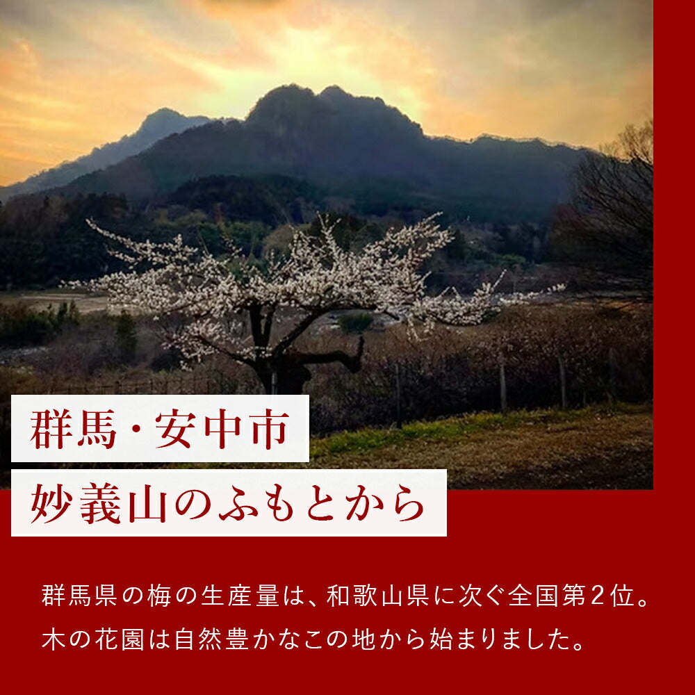 木の花園 梅ごりょう-White-【群馬県産／減塩8％／白干し／無添加】100g