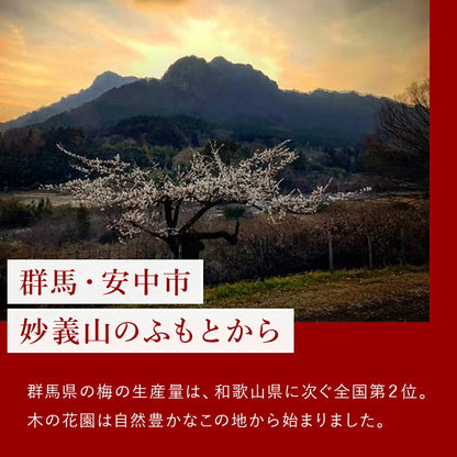 木の花園 梅ごりょう-White-【群馬県産／減塩8％／白干し／無添加】100g
