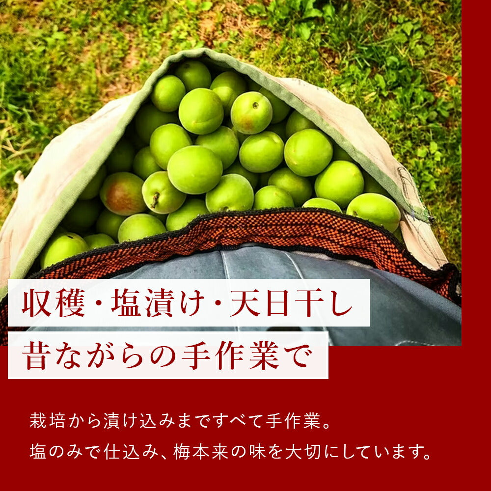 木の花園 梅ごりょう-White-【群馬県産／減塩8％／白干し／無添加】100g