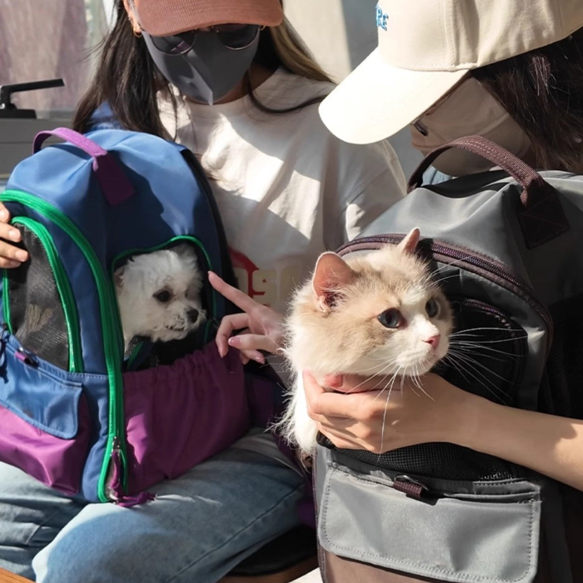 ペットキャリーリュック