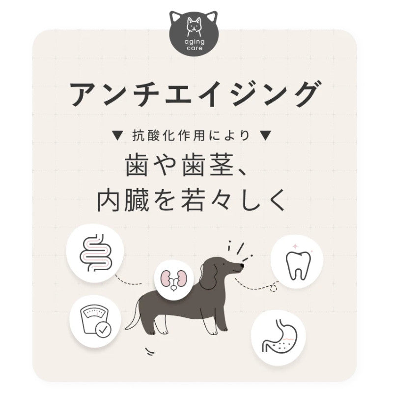 SILKFULL(シルクフル)犬用