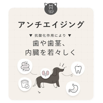SILKFULL(シルクフル)犬用