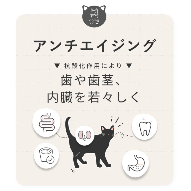SILCAT(シルキャット) 猫用 腎臓・体重ケアサプリメント 無味無臭 液体タイプ