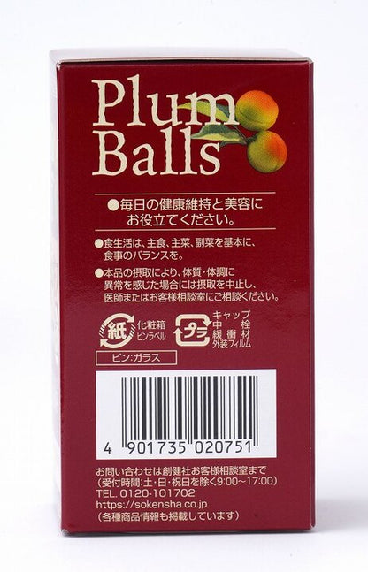国内産完熟紀州梅使用 梅エキス 粒 90g