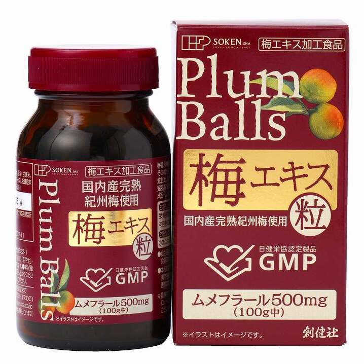 国内産完熟紀州梅使用 梅エキス 粒 90g
