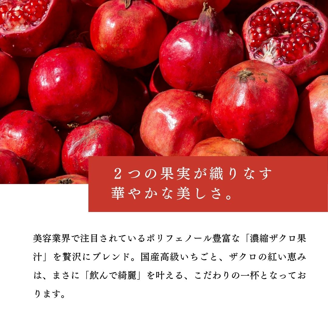 飲む果実酢 ストロベリーザクロ STRAWBERRY POMEGRANATE 500ml