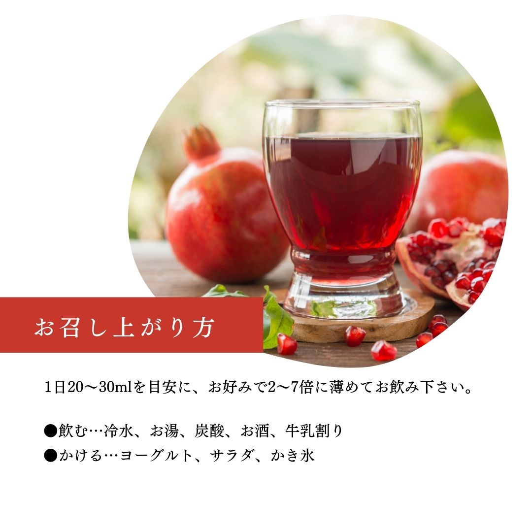 飲む果実酢 ストロベリーザクロ STRAWBERRY POMEGRANATE 500ml